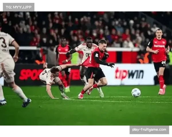 佩伊契诺维奇5球0助攻 狼堡前锋射门转化率待提升